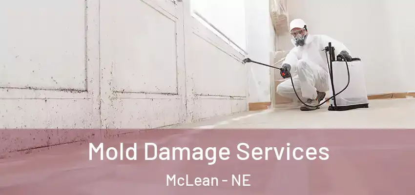  Mold Damage Services McLean - NE