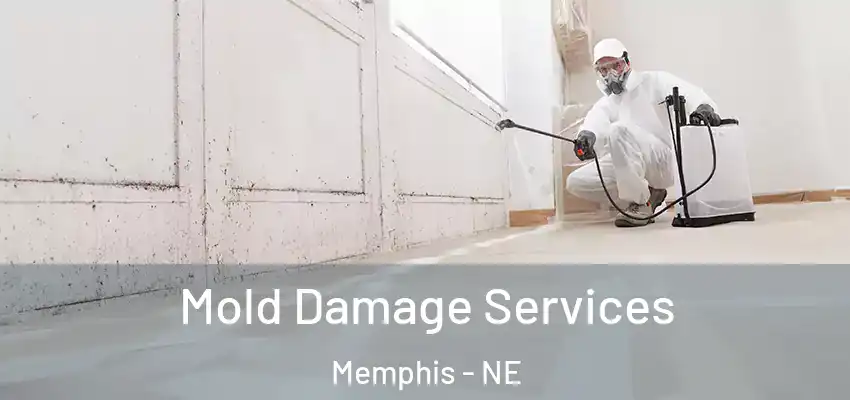 Mold Damage Services Memphis - NE