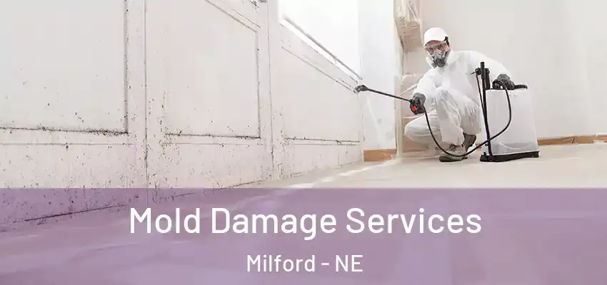  Mold Damage Services Milford - NE