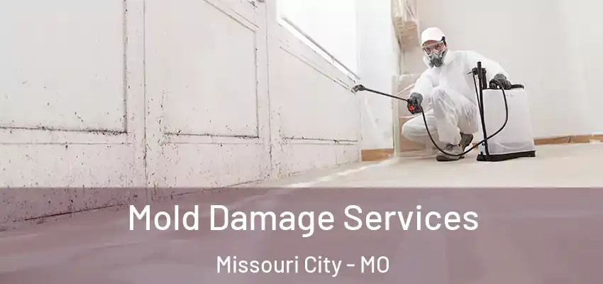  Mold Damage Services Missouri City - MO