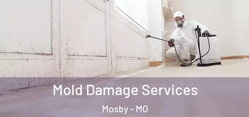  Mold Damage Services Mosby - MO
