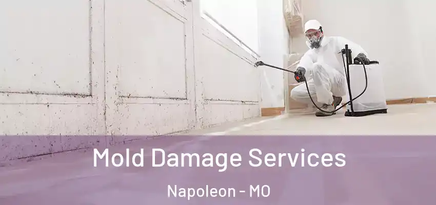 Mold Damage Services Napoleon - MO