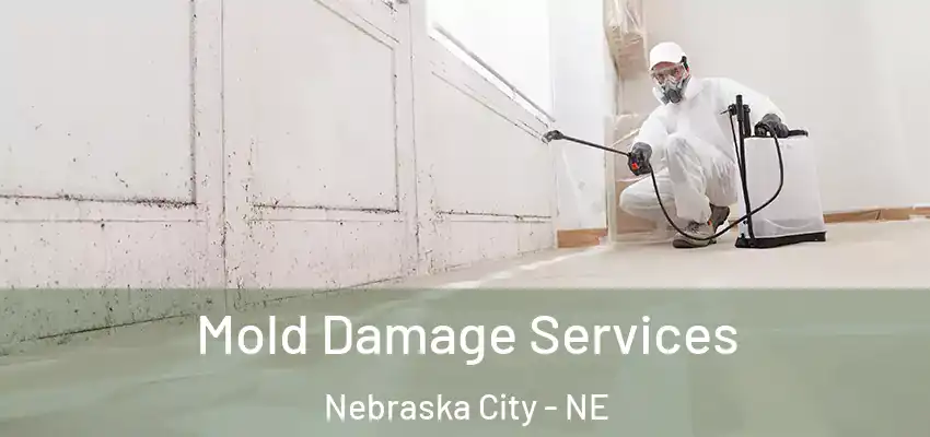  Mold Damage Services Nebraska City - NE