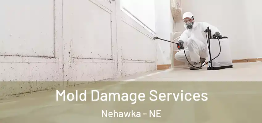 Mold Damage Services Nehawka - NE