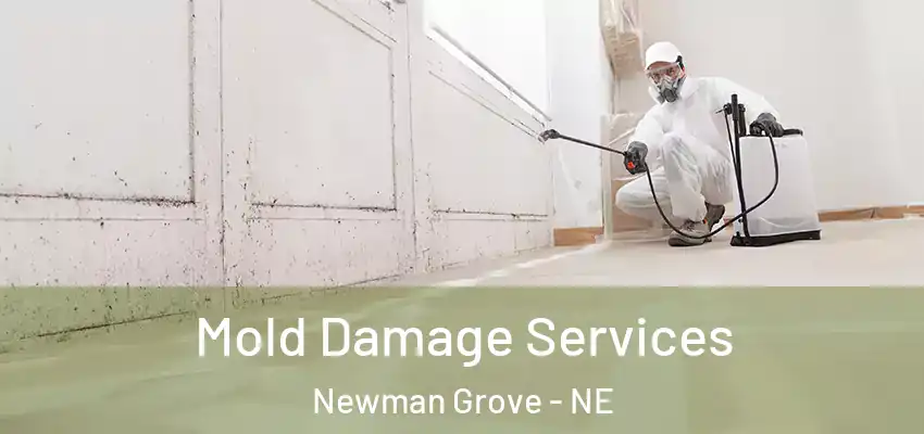 Mold Damage Services Newman Grove - NE