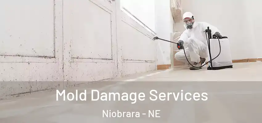 Mold Damage Services Niobrara - NE