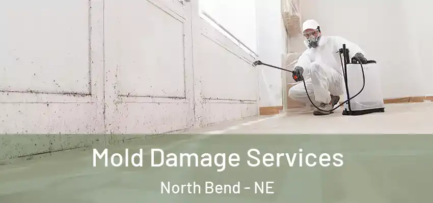  Mold Damage Services North Bend - NE