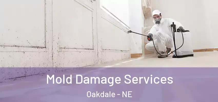  Mold Damage Services Oakdale - NE