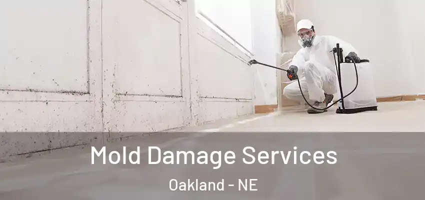 Mold Damage Services Oakland - NE