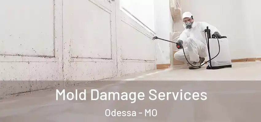 Mold Damage Services Odessa - MO