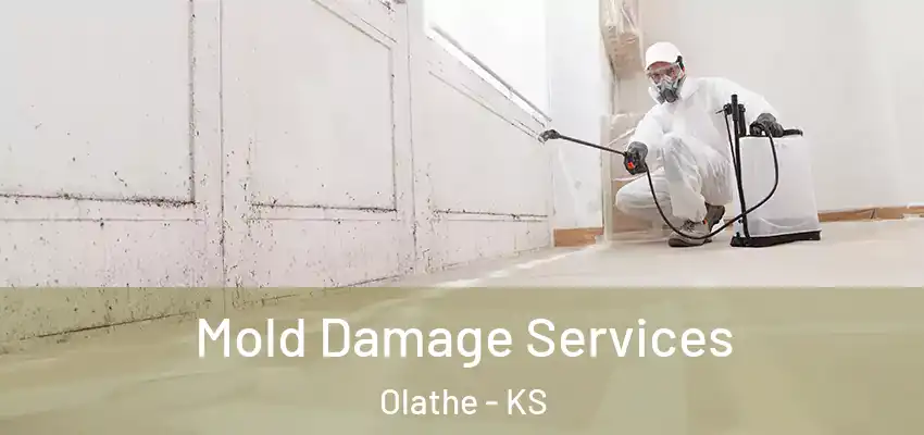 Mold Damage Services Olathe - KS