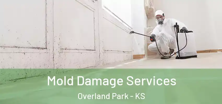 Mold Damage Services Overland Park - KS
