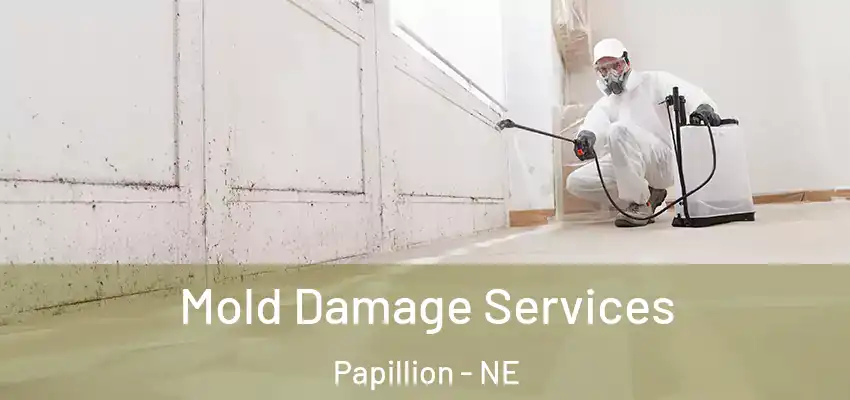  Mold Damage Services Papillion - NE