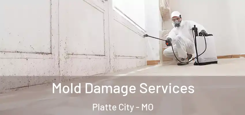  Mold Damage Services Platte City - MO