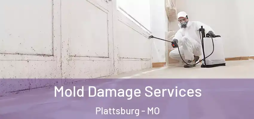 Mold Damage Services Plattsburg - MO