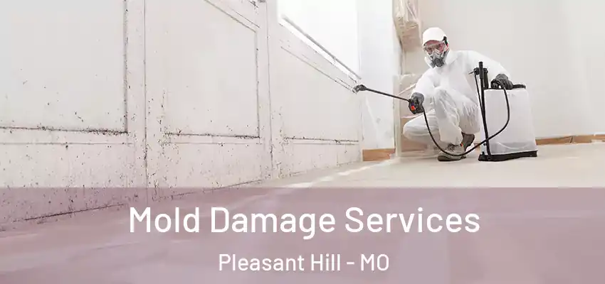  Mold Damage Services Pleasant Hill - MO