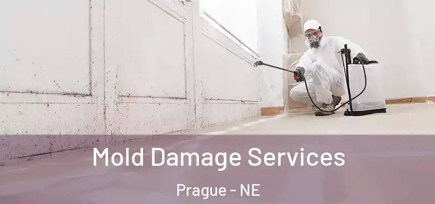 Mold Damage Services Prague - NE