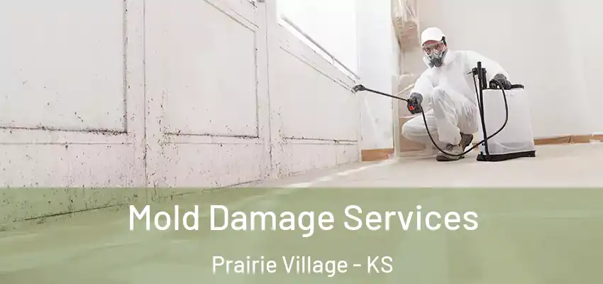  Mold Damage Services Prairie Village - KS