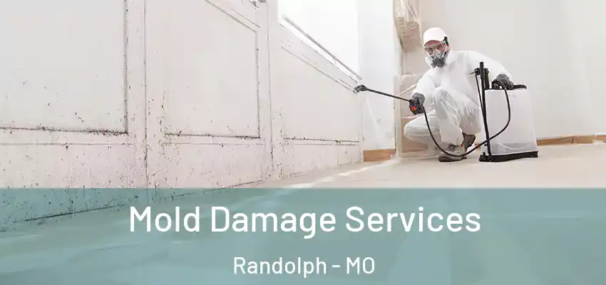  Mold Damage Services Randolph - MO