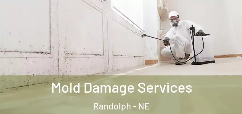 Mold Damage Services Randolph - NE