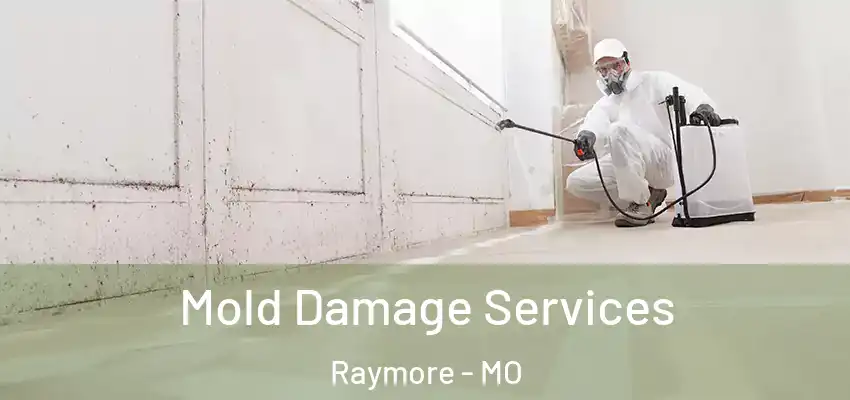  Mold Damage Services Raymore - MO