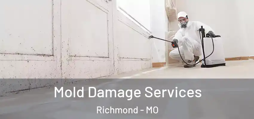 Mold Damage Services Richmond - MO