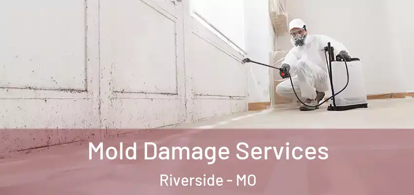  Mold Damage Services Riverside - MO