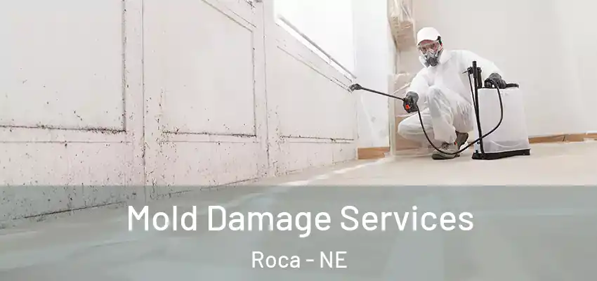  Mold Damage Services Roca - NE