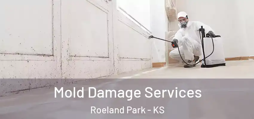  Mold Damage Services Roeland Park - KS