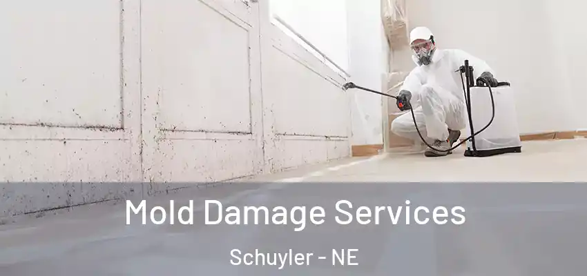 Mold Damage Services Schuyler - NE