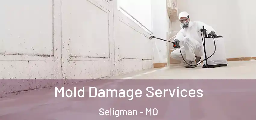  Mold Damage Services Seligman - MO