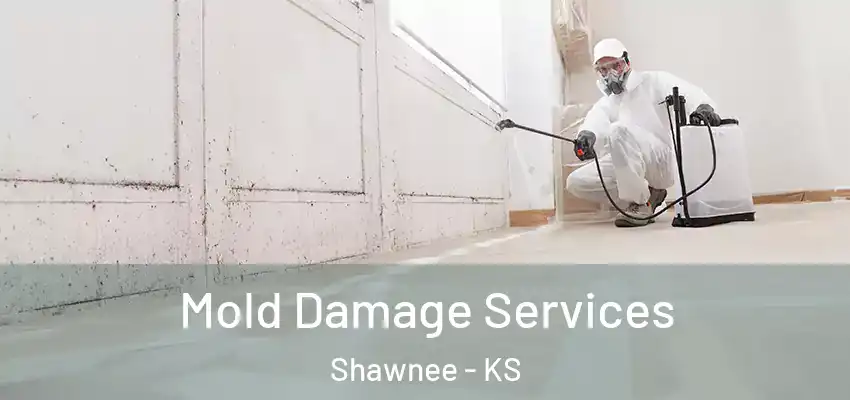  Mold Damage Services Shawnee - KS