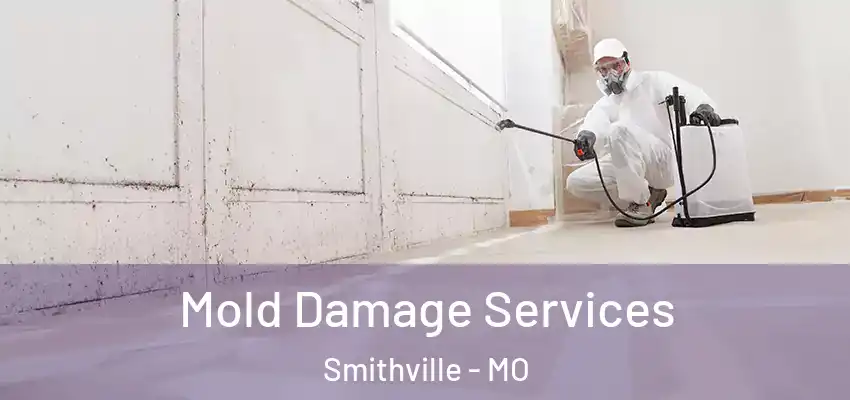  Mold Damage Services Smithville - MO