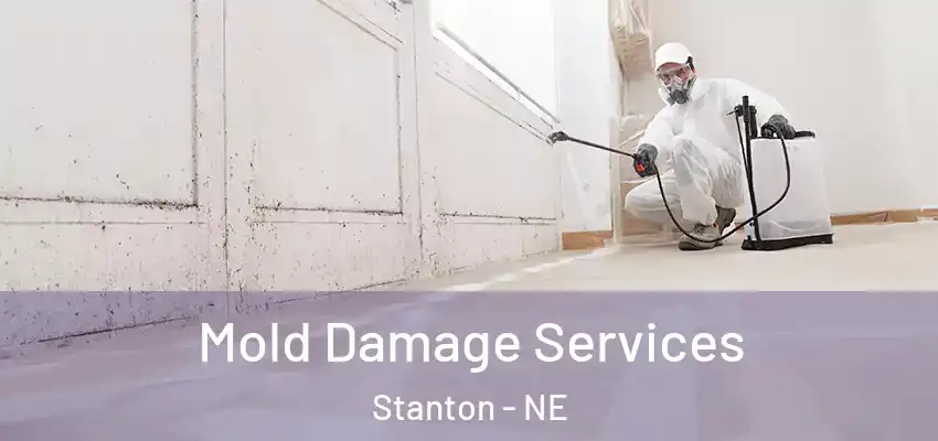  Mold Damage Services Stanton - NE