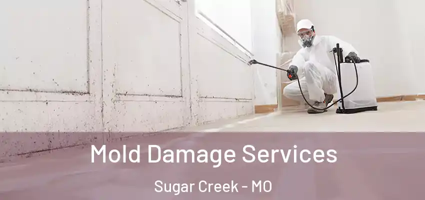 Mold Damage Services Sugar Creek - MO