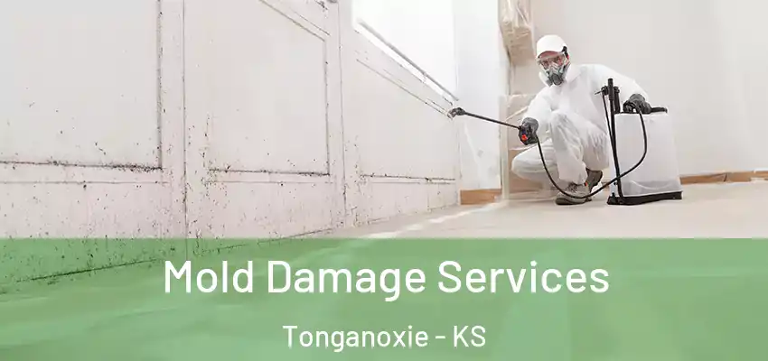 Mold Damage Services Tonganoxie - KS