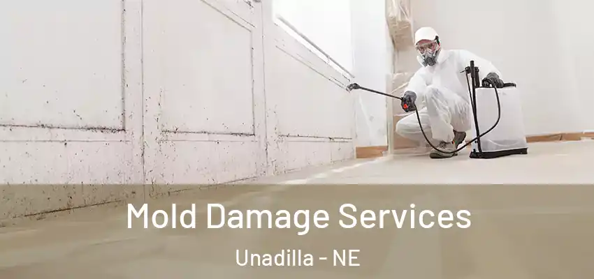  Mold Damage Services Unadilla - NE