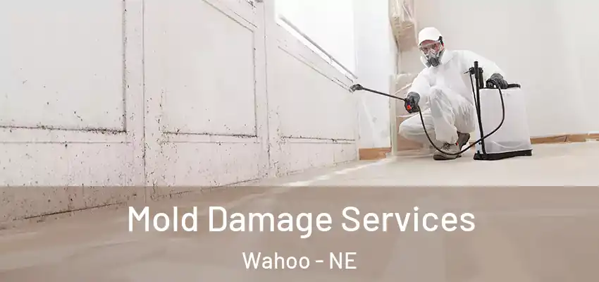 Mold Damage Services Wahoo - NE
