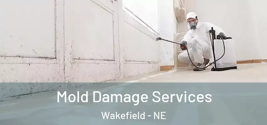 Mold Damage Services Wakefield - NE