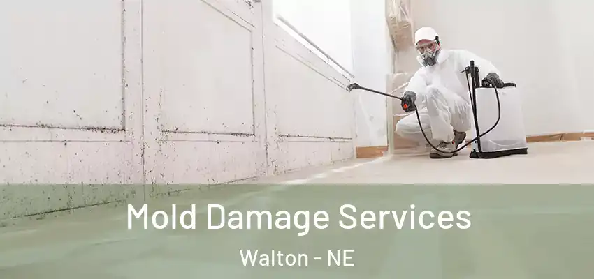 Mold Damage Services Walton - NE