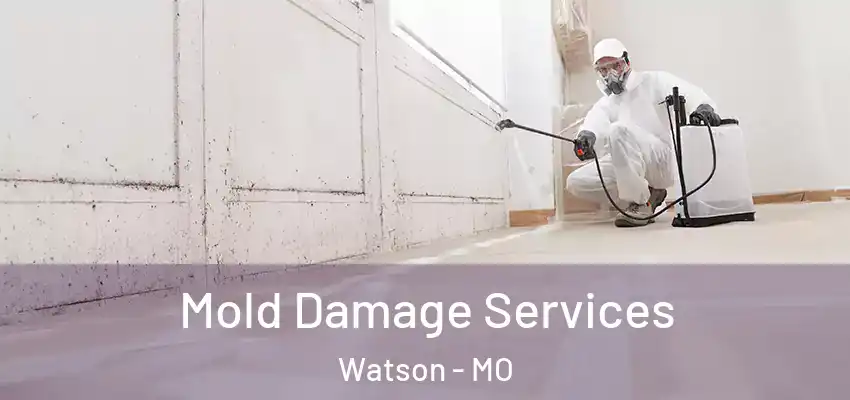  Mold Damage Services Watson - MO