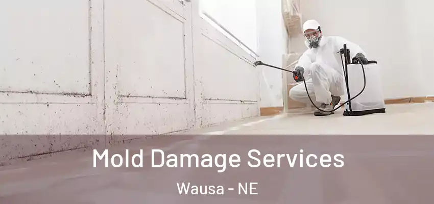 Mold Damage Services Wausa - NE