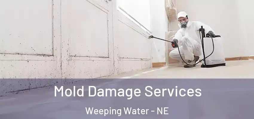  Mold Damage Services Weeping Water - NE