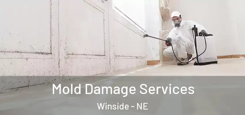 Mold Damage Services Winside - NE
