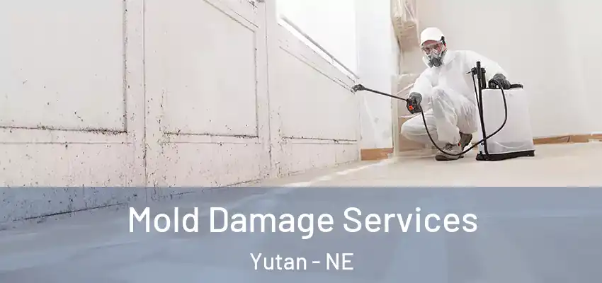  Mold Damage Services Yutan - NE