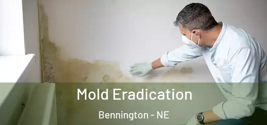  Mold Eradication Bennington - NE