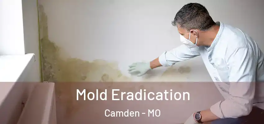 Mold Eradication Camden - MO