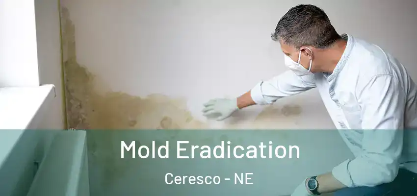 Mold Eradication Ceresco - NE