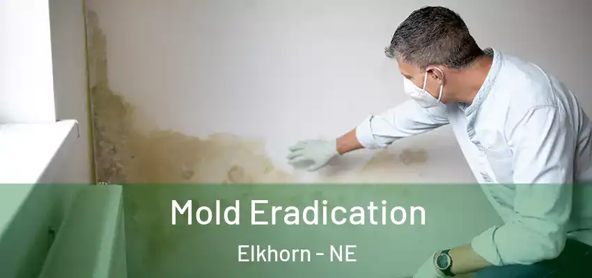 Mold Eradication Elkhorn - NE