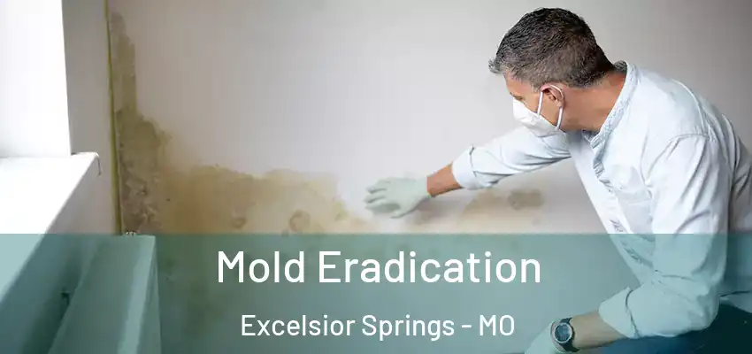  Mold Eradication Excelsior Springs - MO